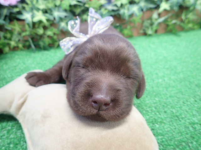 赤ちゃん写真1-1