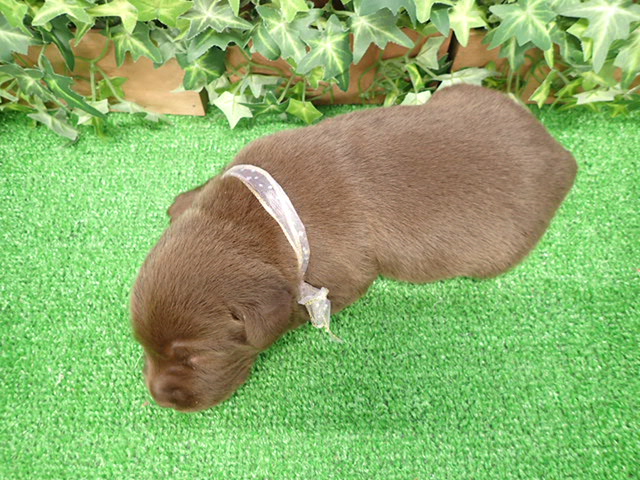 赤ちゃん写真1-3