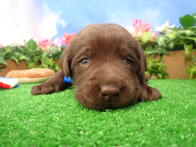 赤ちゃん写真2-1