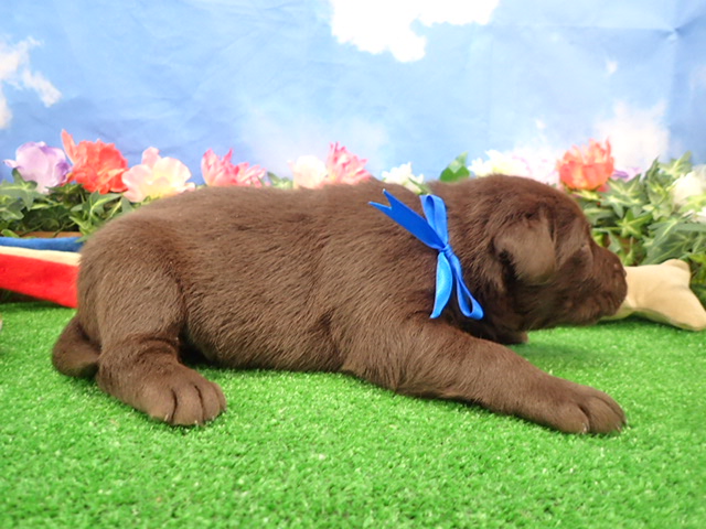 赤ちゃん写真2-2