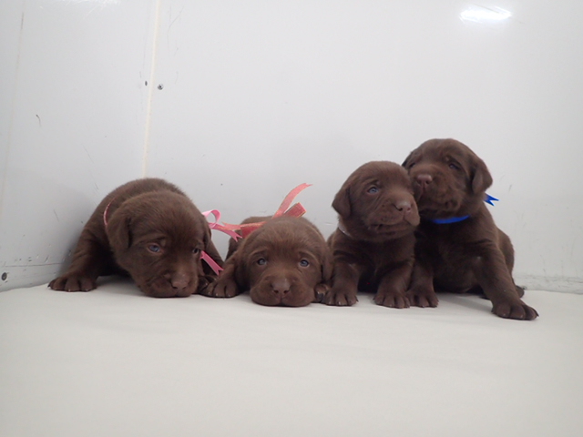 赤ちゃん写真2-3