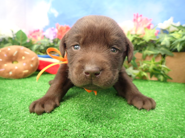 赤ちゃん写真2-1