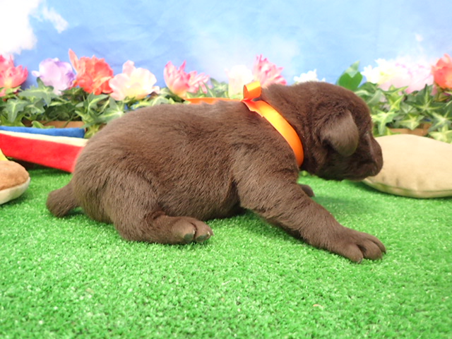 赤ちゃん写真2-2