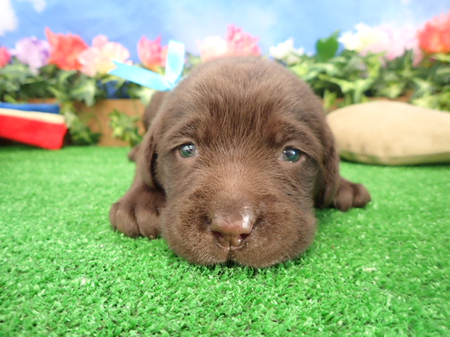 赤ちゃん写真2-1