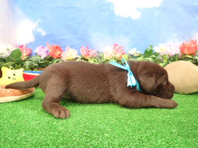 赤ちゃん写真2-2