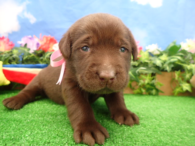 赤ちゃん写真2-1