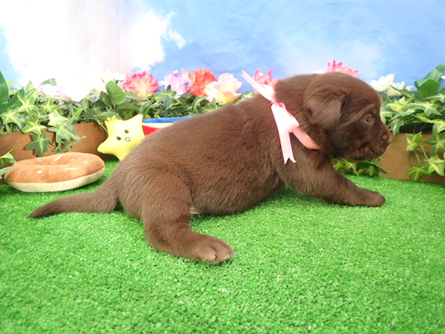 赤ちゃん写真2-2