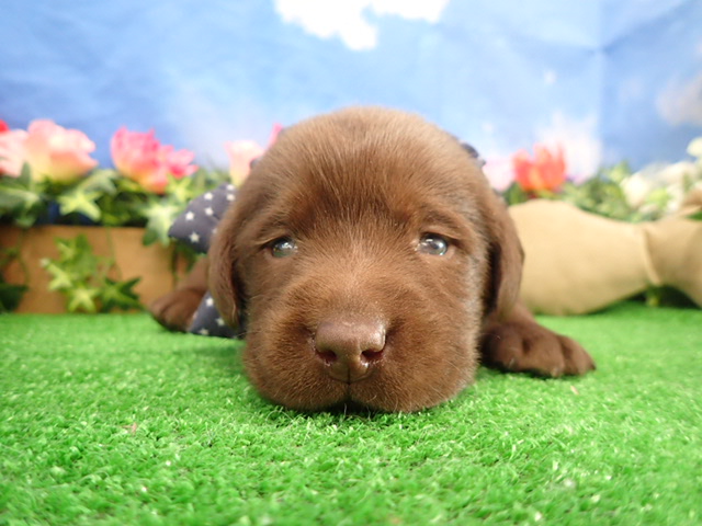 赤ちゃん写真2-1