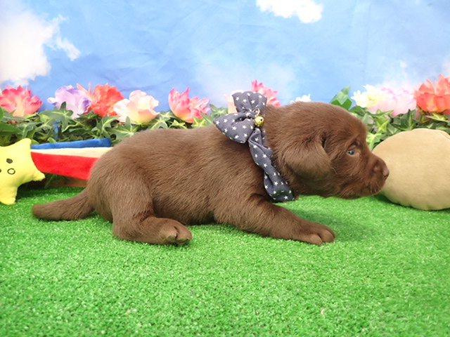 赤ちゃん写真2-2