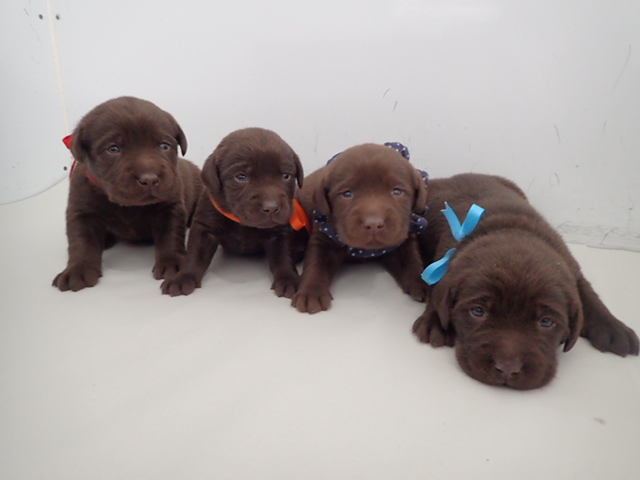 赤ちゃん写真2-3