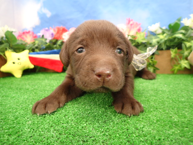 赤ちゃん写真2-1