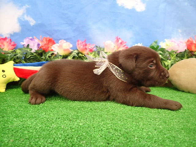 赤ちゃん写真2-2