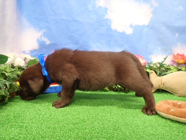 赤ちゃん写真3-2