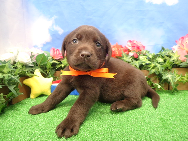 赤ちゃん写真3-1