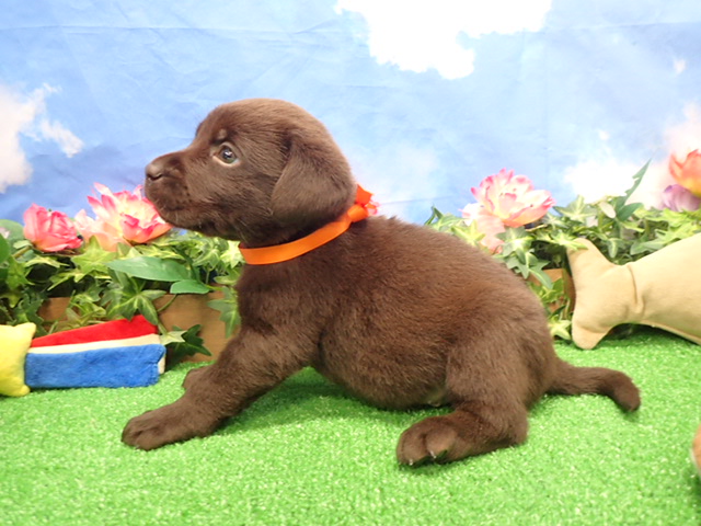 赤ちゃん写真3-2