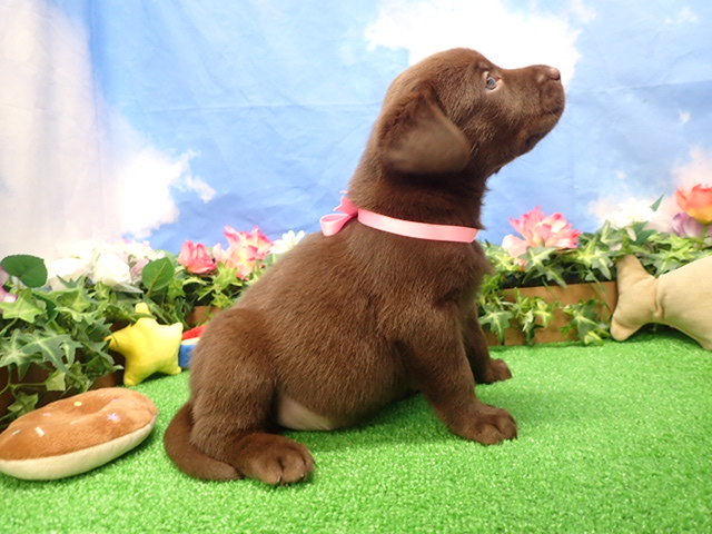 赤ちゃん写真3-2