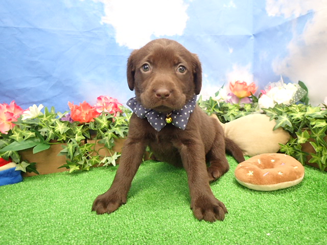 赤ちゃん写真3-1