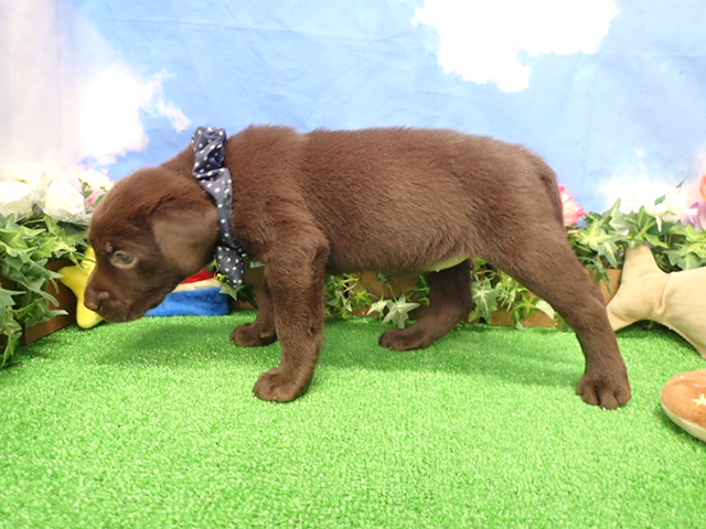 赤ちゃん写真3-2