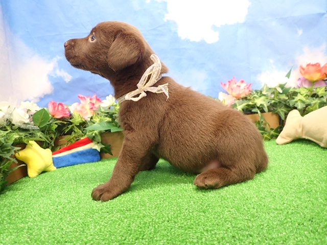 赤ちゃん写真3-2