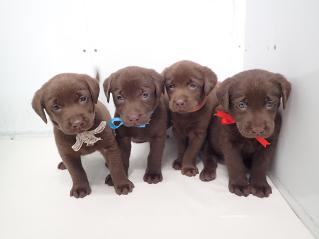 赤ちゃん写真3-3