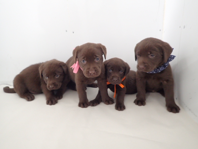 赤ちゃん写真3-3