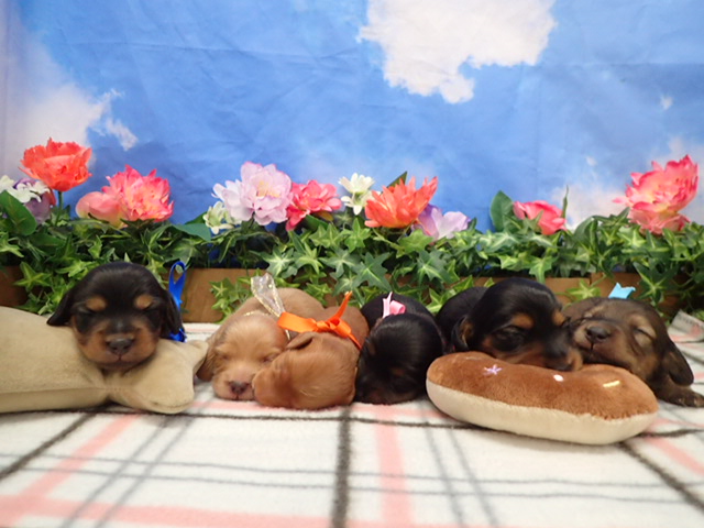 赤ちゃん写真1-3