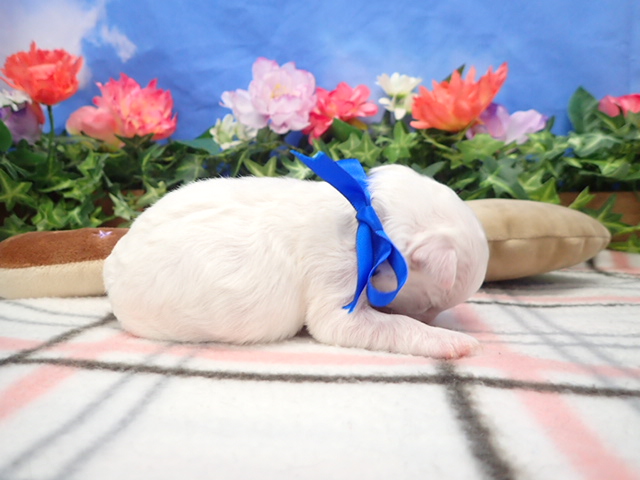 赤ちゃん写真1-2