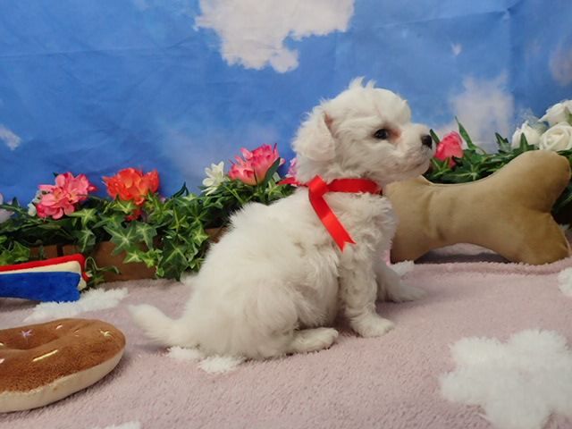 赤ちゃん写真3-2