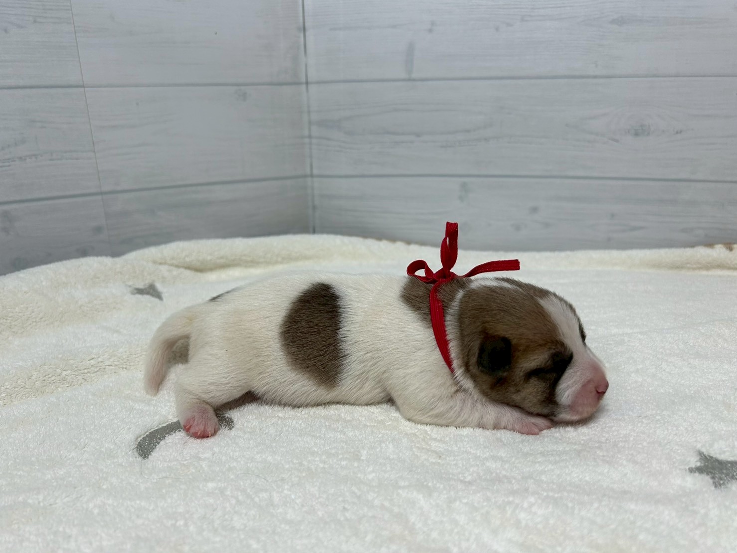 赤ちゃん写真1-2