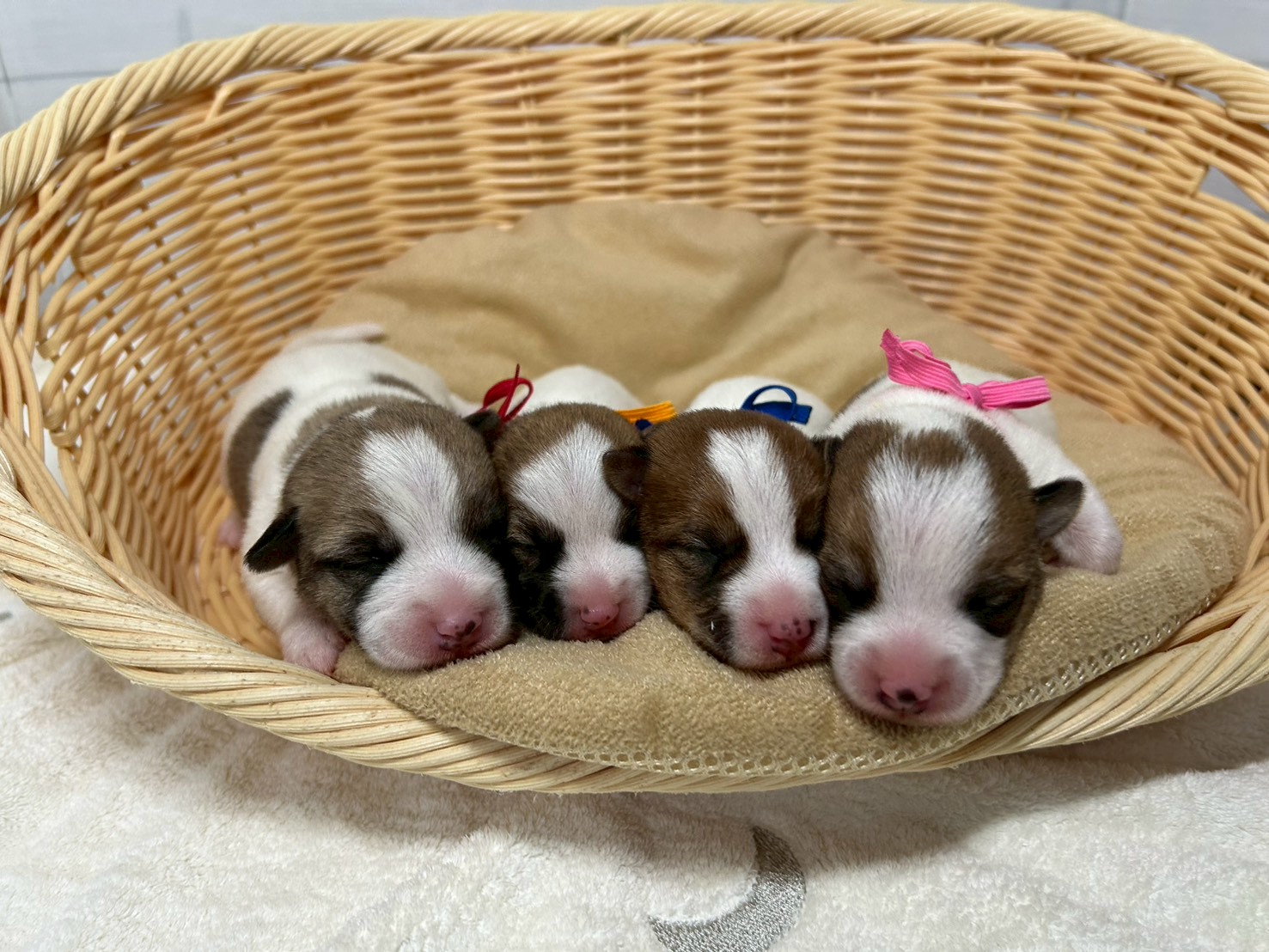 赤ちゃん写真1-3