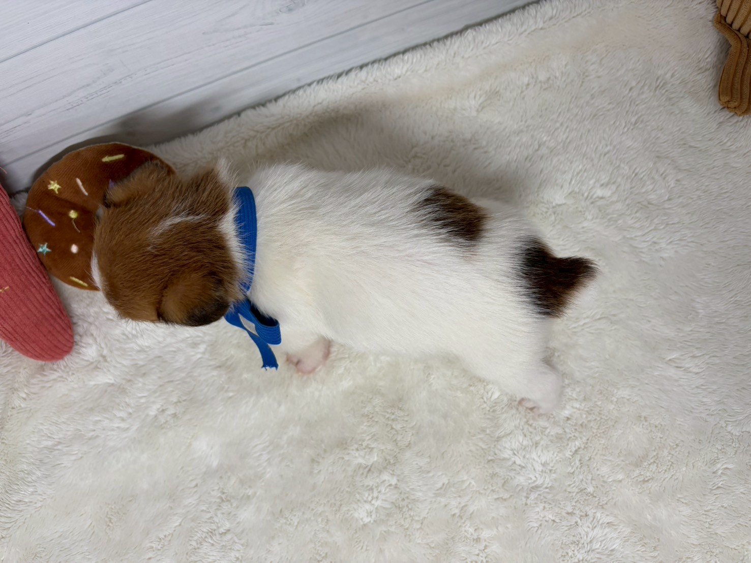 赤ちゃん写真2-3