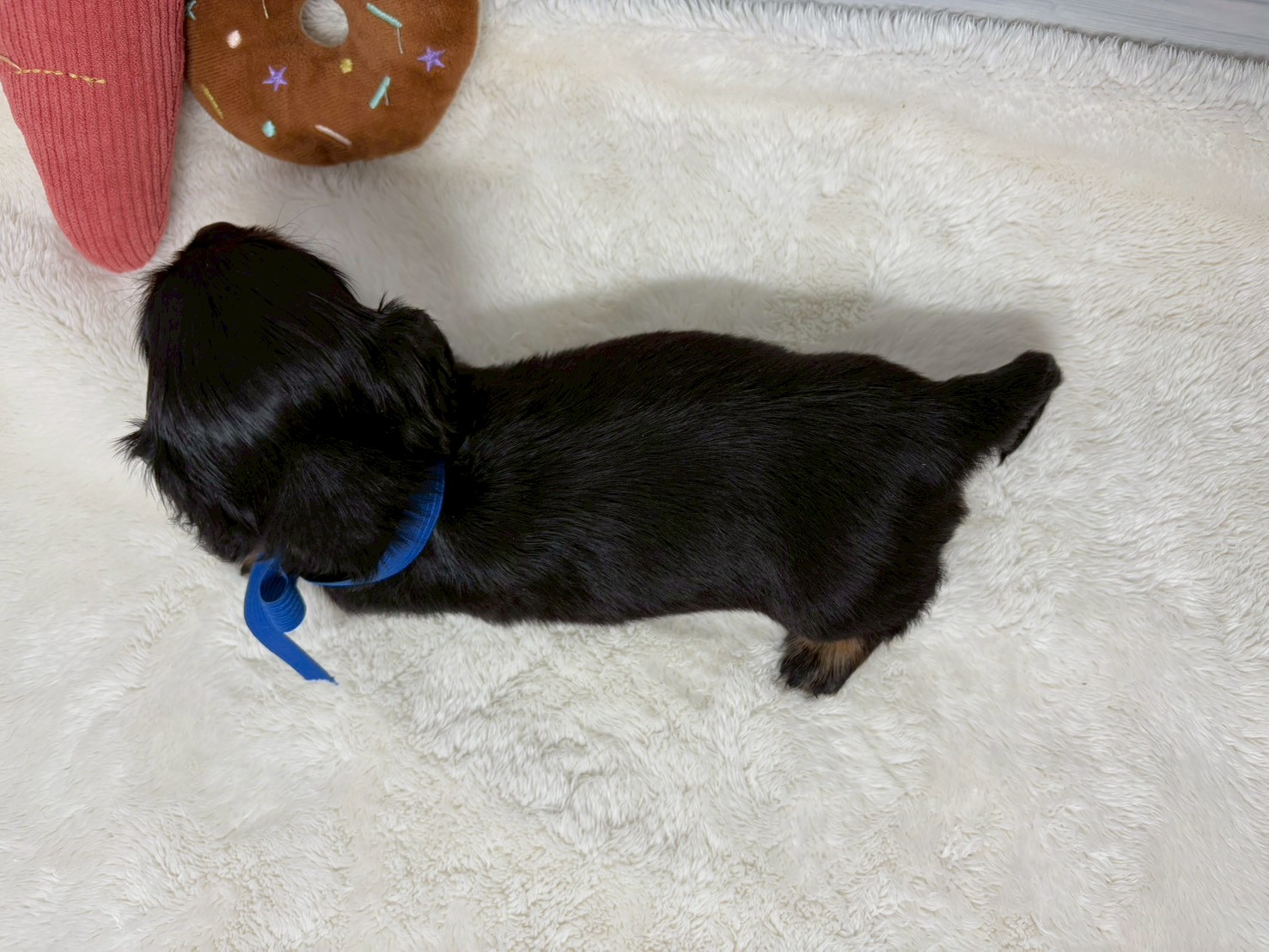 赤ちゃん写真2-3