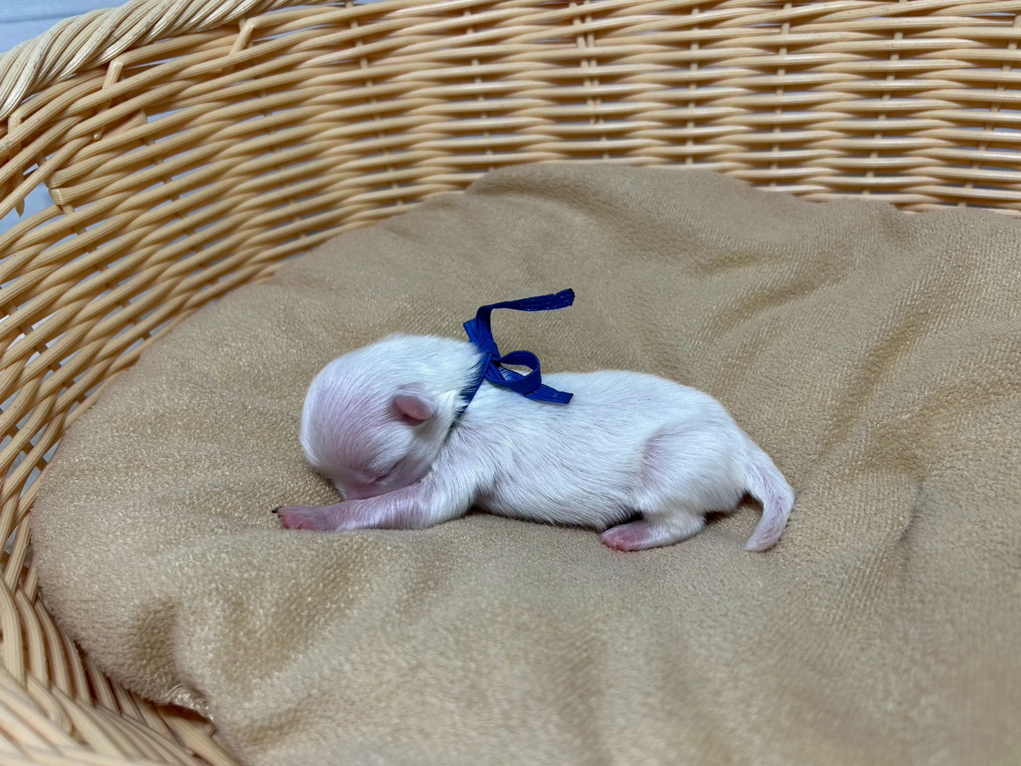 赤ちゃん写真1-2