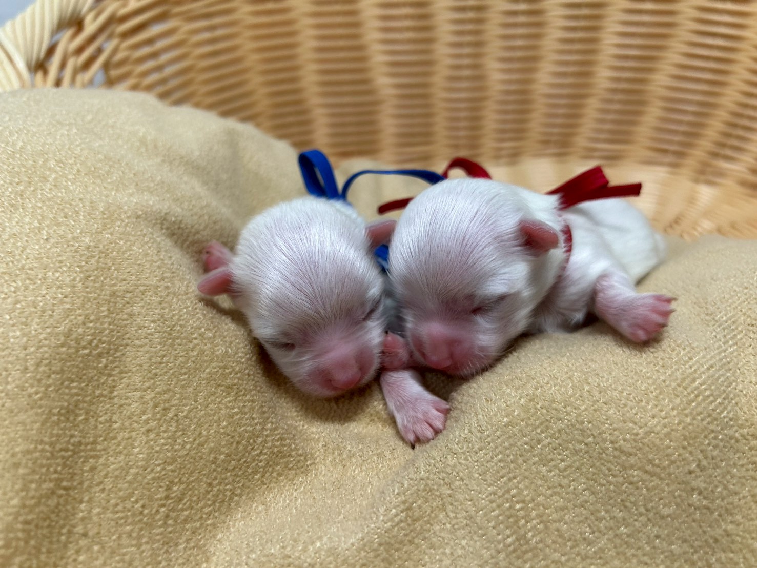 赤ちゃん写真1-3