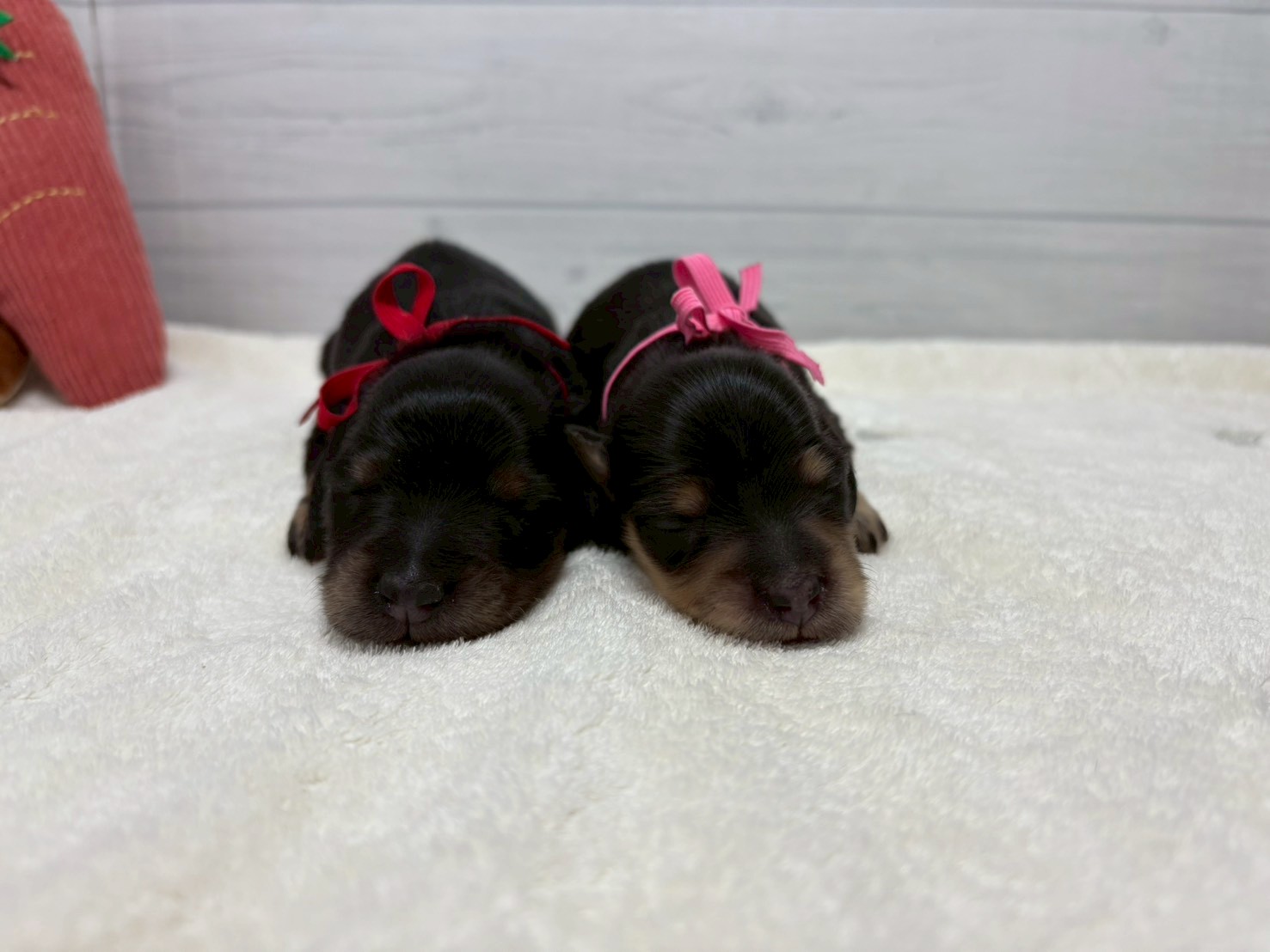 赤ちゃん写真1-3