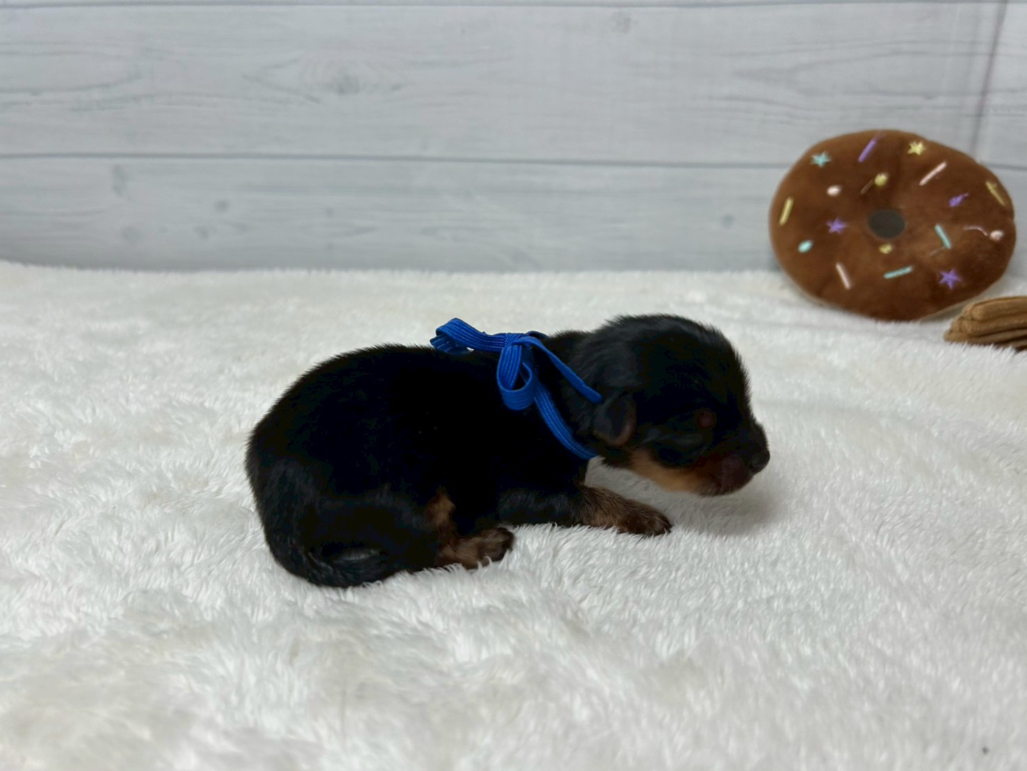 赤ちゃん写真1-2