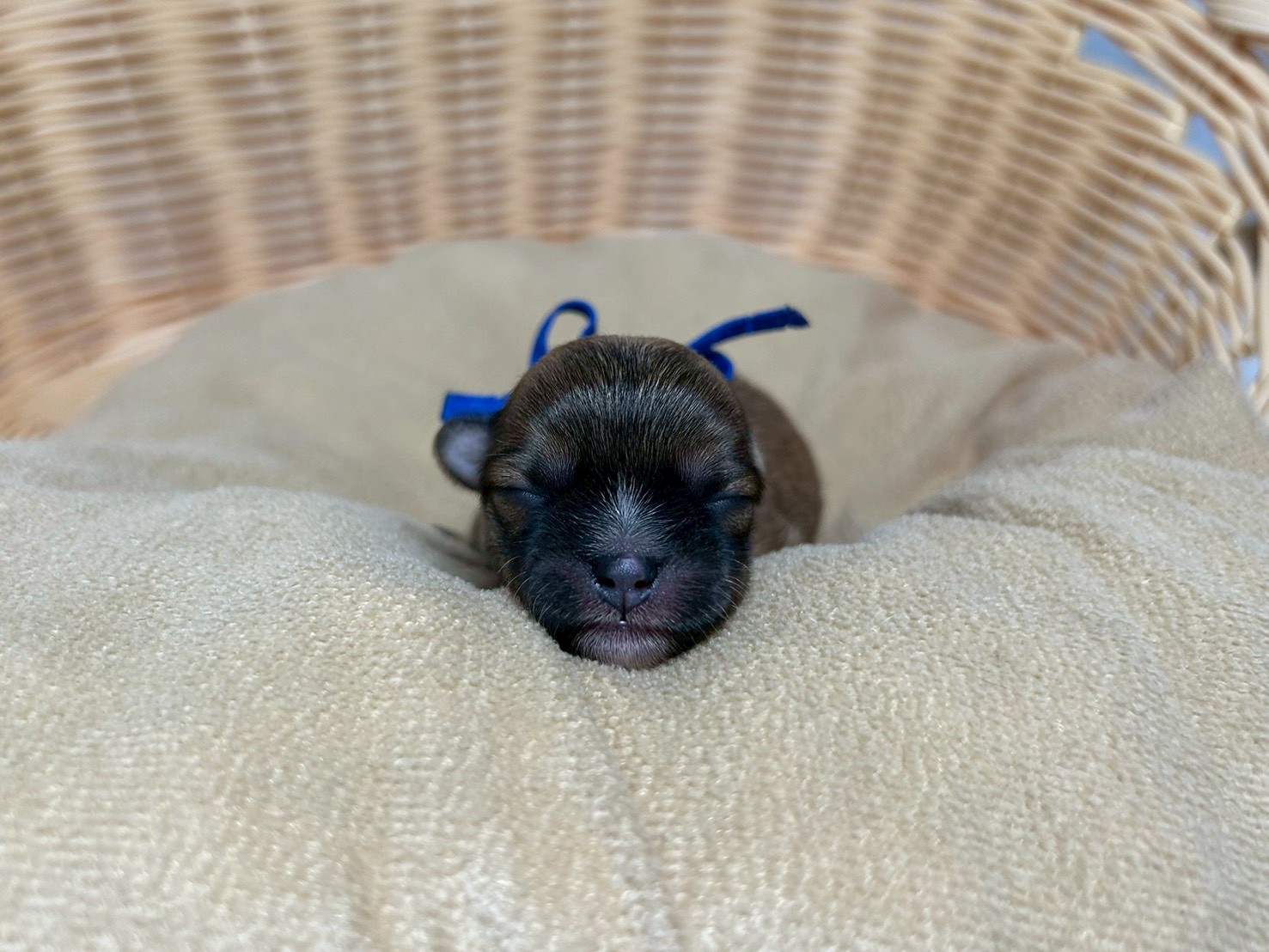 赤ちゃん写真1-1