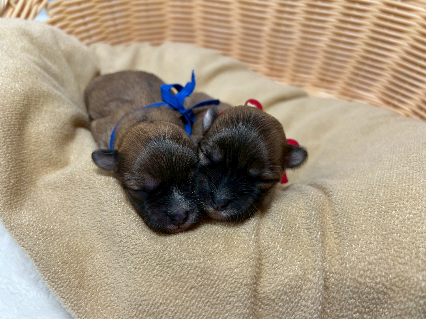 赤ちゃん写真1-3