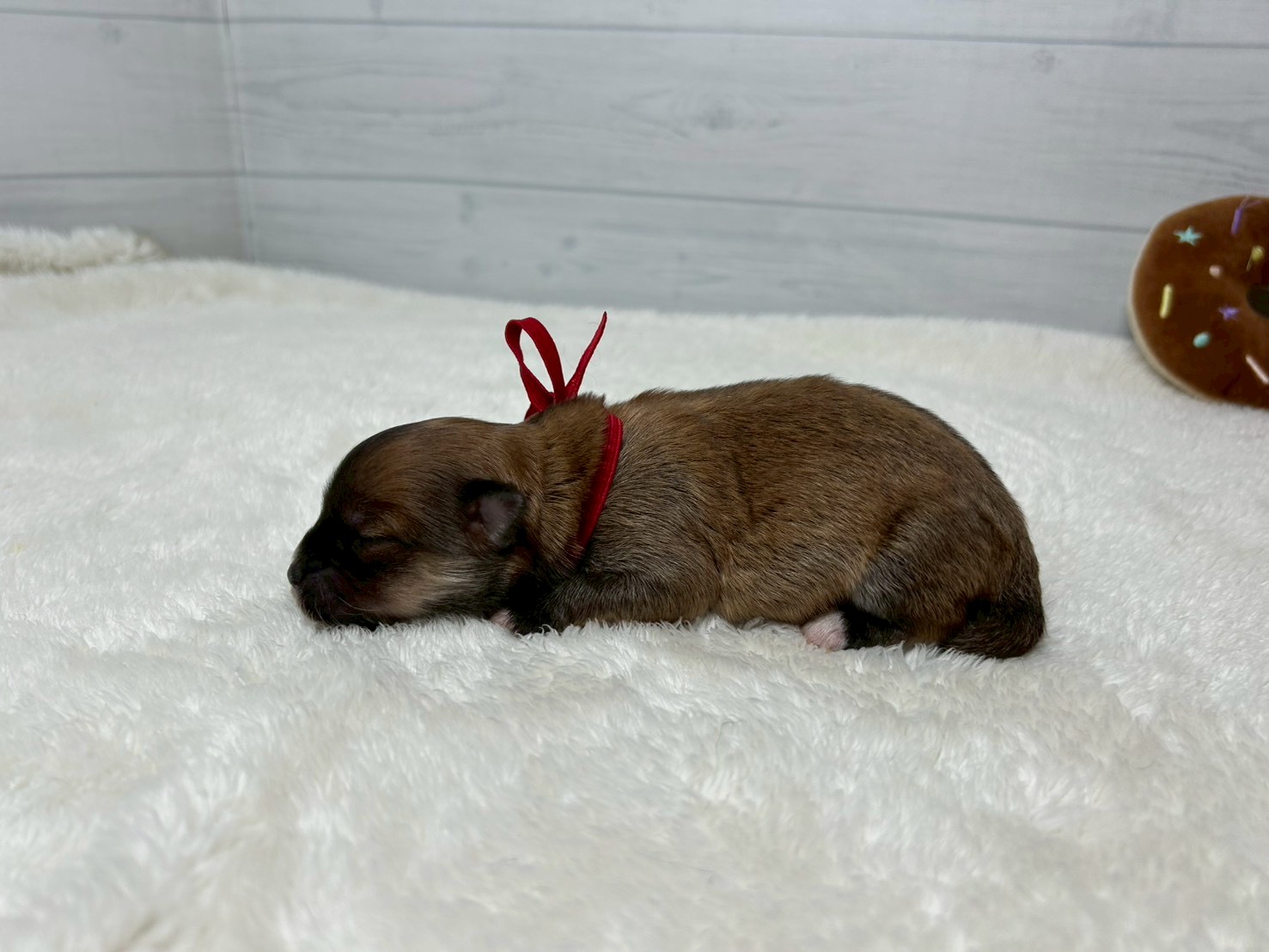 赤ちゃん写真1-2