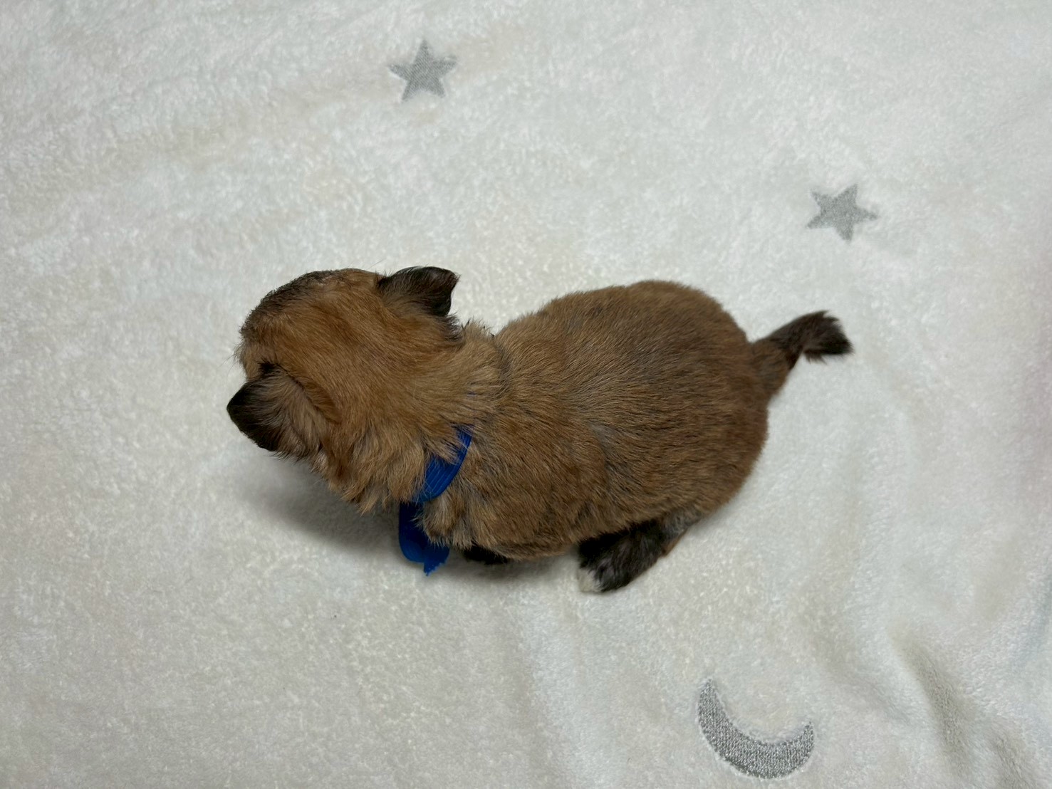 赤ちゃん写真2-3