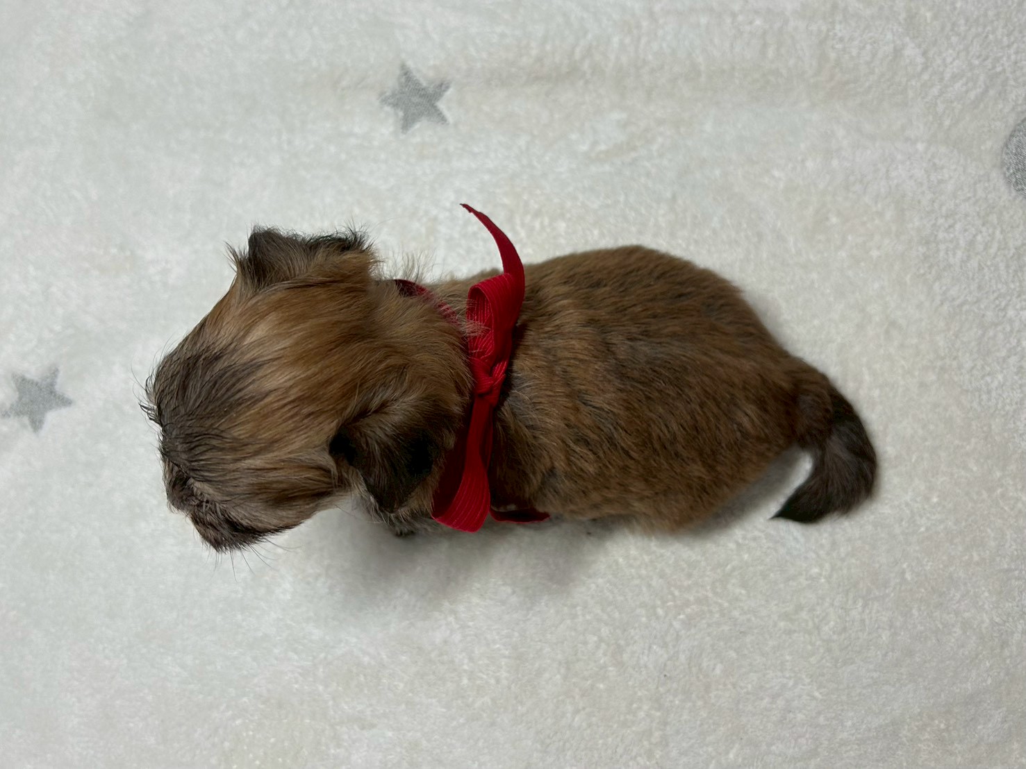 赤ちゃん写真2-3