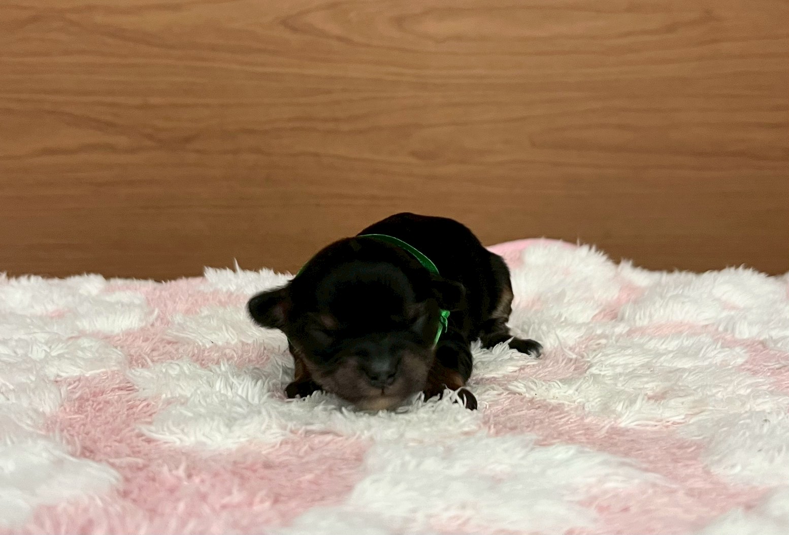 赤ちゃん写真1-1