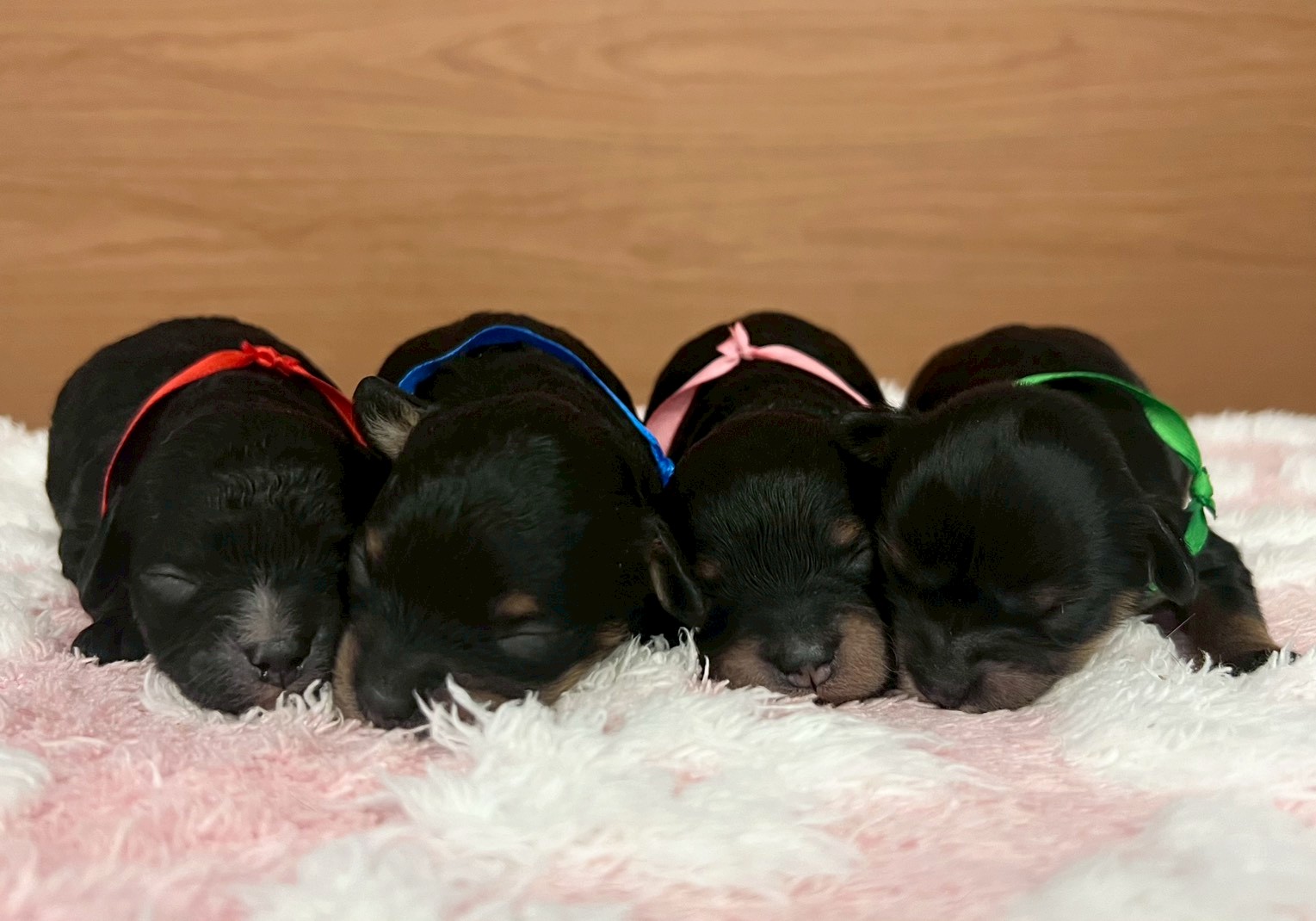 赤ちゃん写真1-3