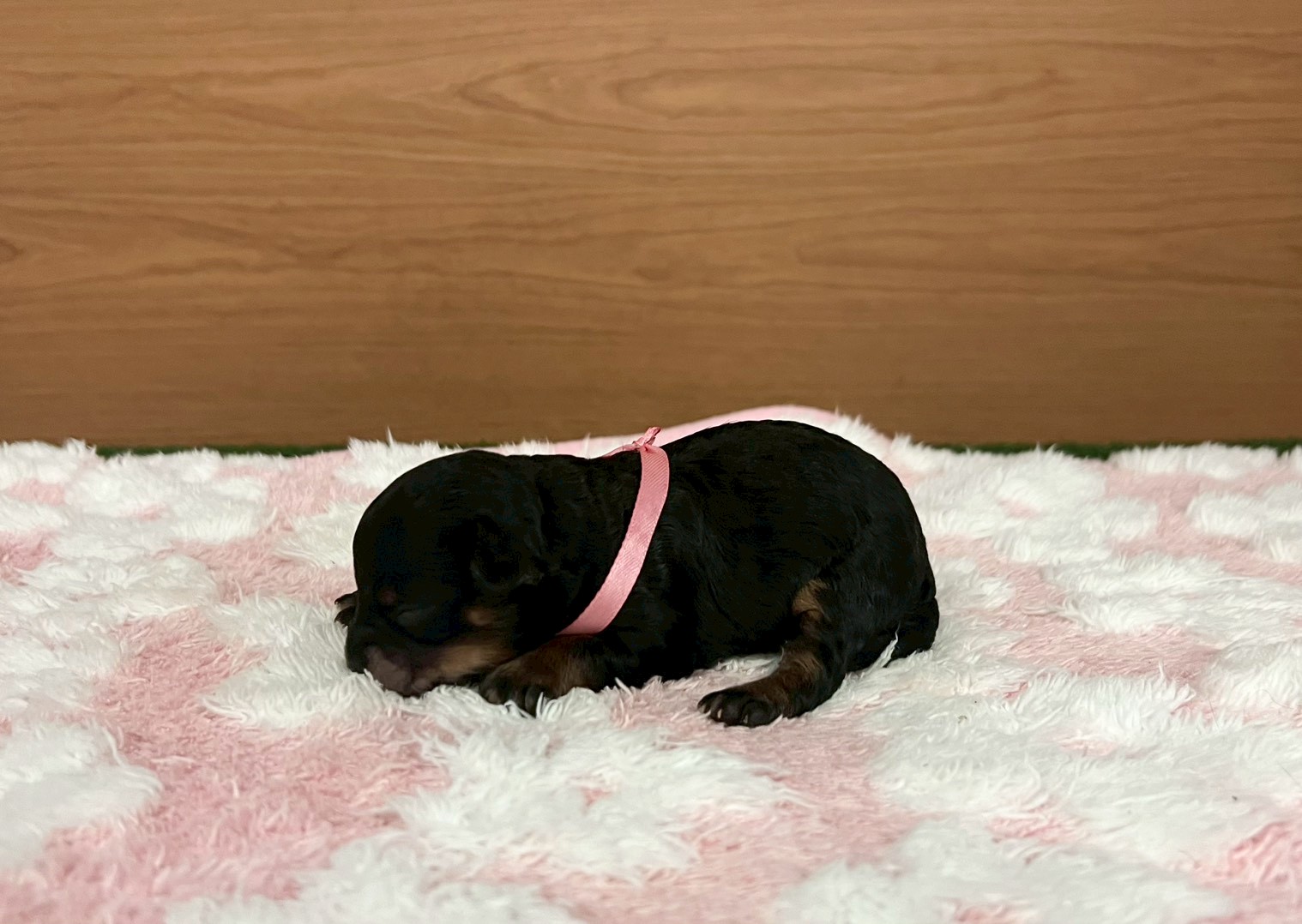 赤ちゃん写真1-2