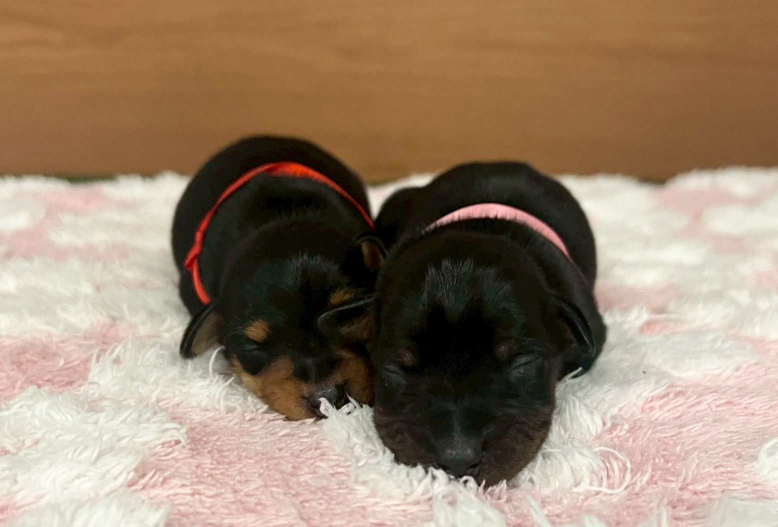 赤ちゃん写真1-3