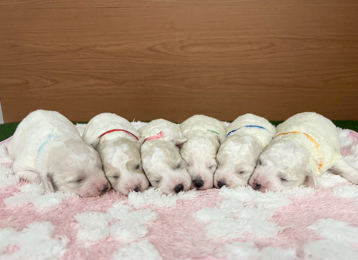 赤ちゃん写真1-3