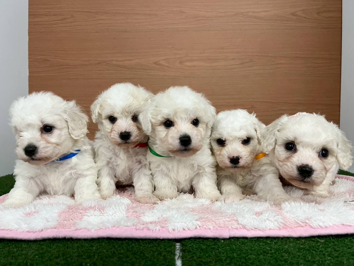 赤ちゃん写真2-3
