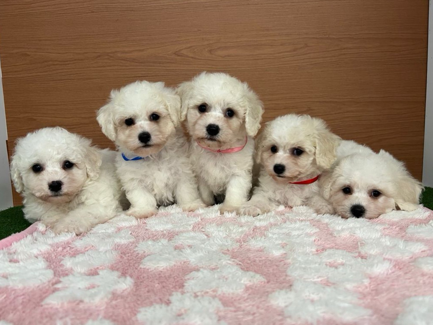 赤ちゃん写真3-3