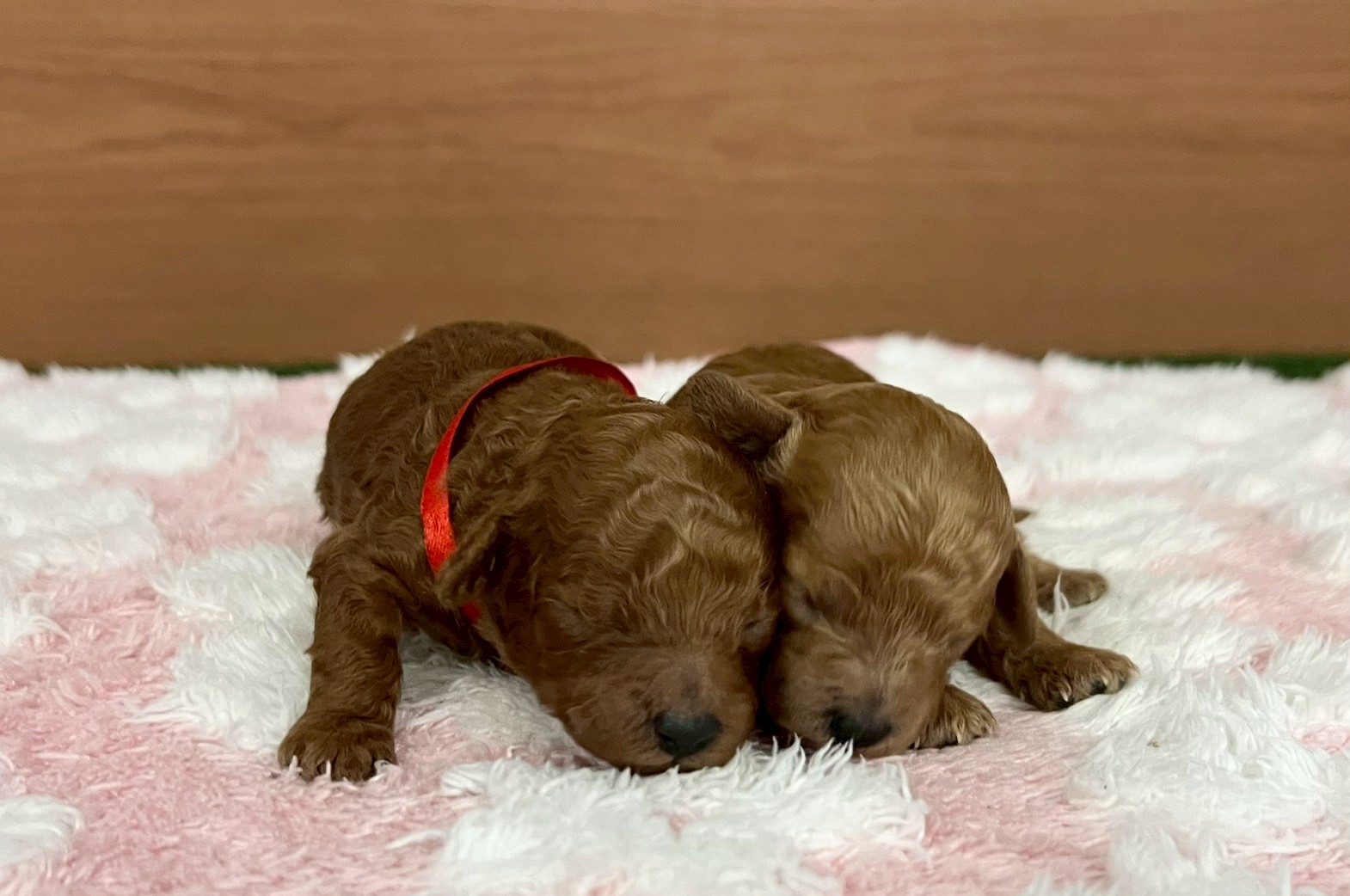 赤ちゃん写真1-3