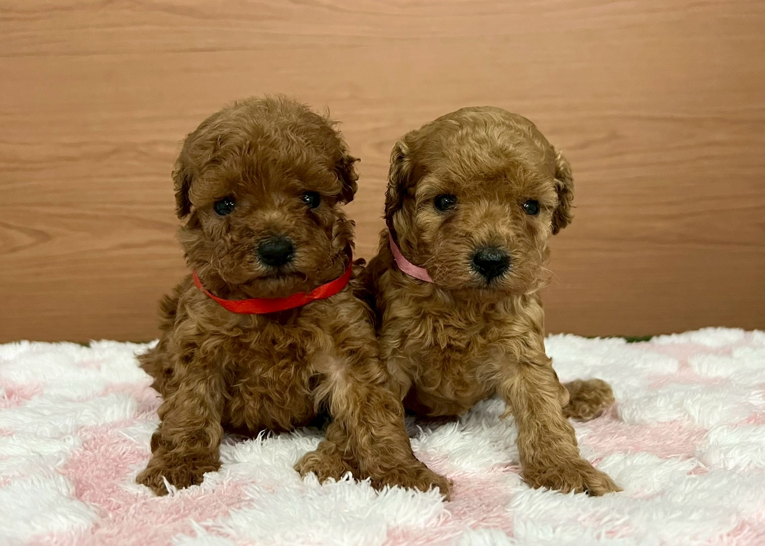 赤ちゃん写真2-3